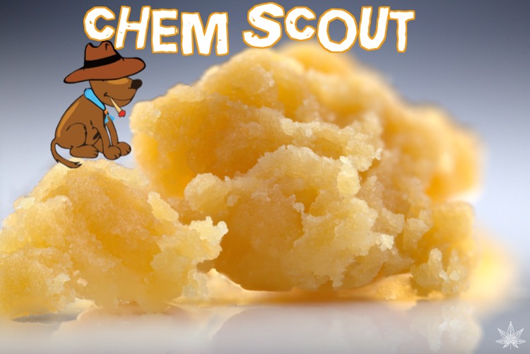 Chem Scout