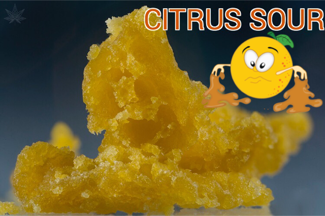 Citrus Sap
