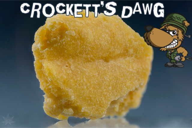 Crockett’s Dawg