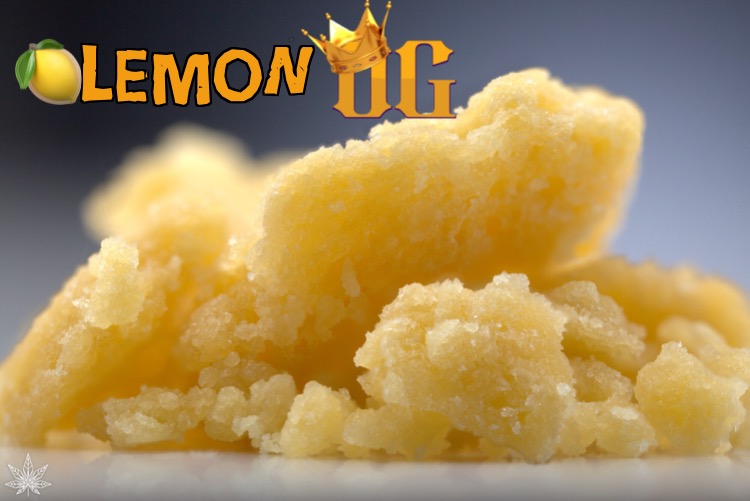 Lemon OG