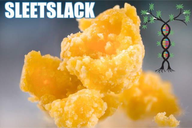 Sleestack